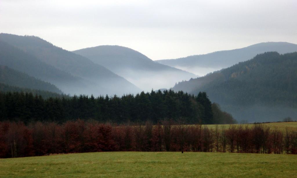 Apartmán Landhaus Zur Linde Winterberg Pokoj fotografie